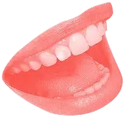 Ein weit geöffneter Mund mit sichtbaren weißen Zähnen und rosafarbenen Lippen, perfekt für Hotelmarketing-Visuals.